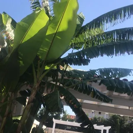 Izmir Alacati'da Ozel Havuzlu Luks Kiralik 빌라 *